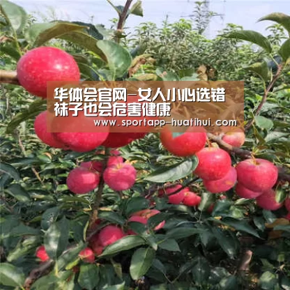 华体会官方