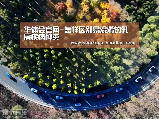 华体会官网