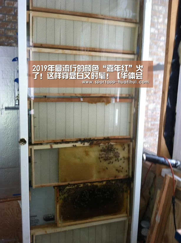 华体会官方