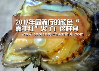 华体会官网